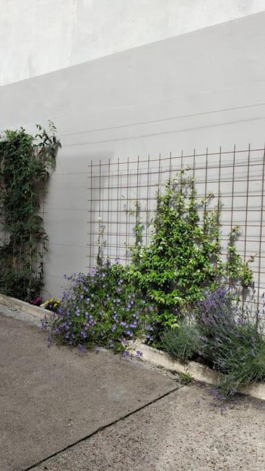 Experience Inouie A Orleans !公寓 外观 照片